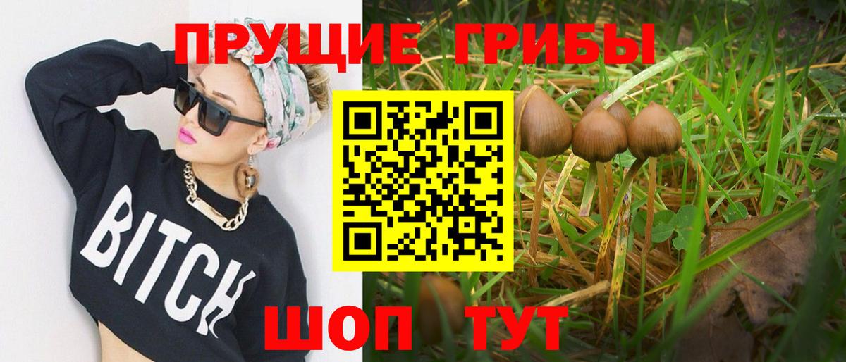Псилоцибиновые грибы Magic Shrooms  Вход с VPN  Галлюциногенные грибы прущие грибы  Вязники 