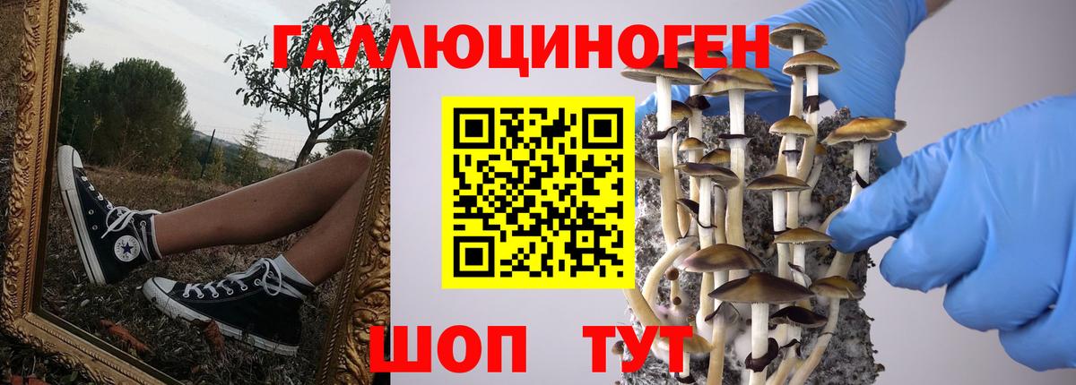 Галлюциногенные грибы Cubensis Вязники