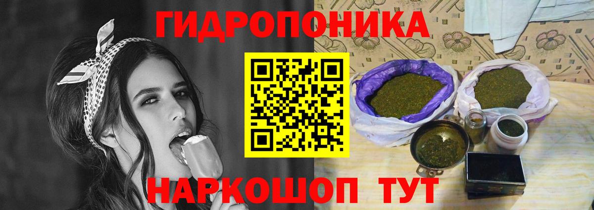 Канабис конопля  Вязники  Конопля Ganja  Шишки марихуана MAZAR 